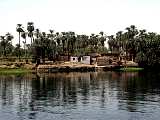 Nile landscape 