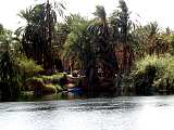 Nile landscape