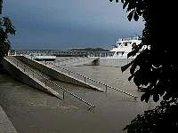 Donauhochwasser140802019.JPG