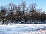 Winterimpressions at Morava