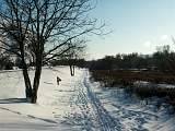 Winterimpressions at Morava