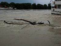 Donauhochwasser140802011.JPG