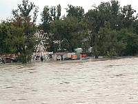Donauhochwasser140802030.JPG